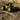 0000101914_03