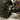 0000101914_05